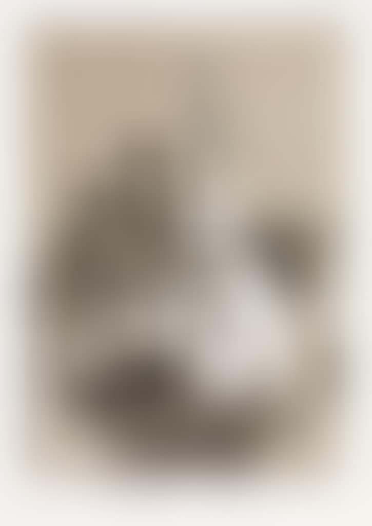 Nohubo Remedio (preview)