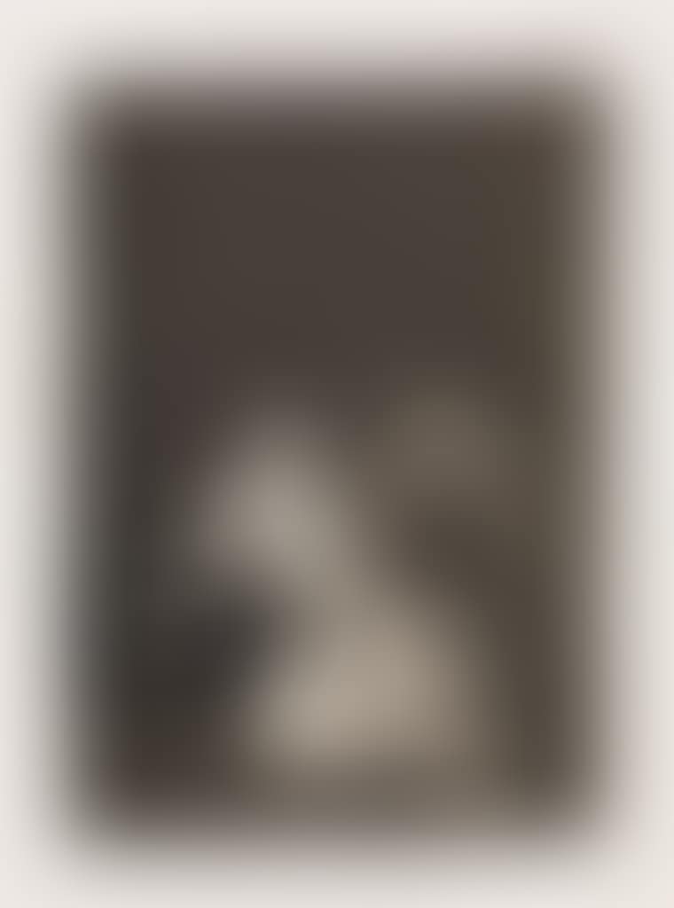 El De La Rollona (preview)