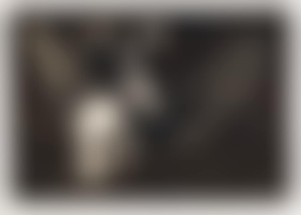 Disparate Volante (preview)