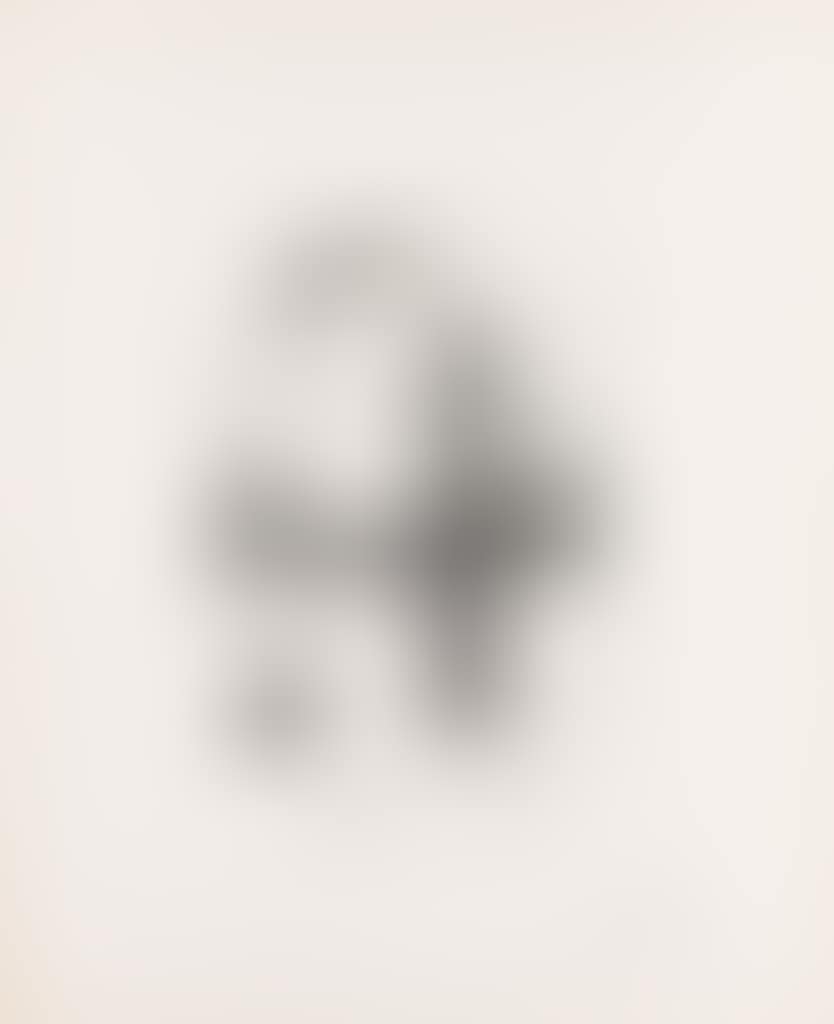 Lithograph II; Lithograph III (preview)