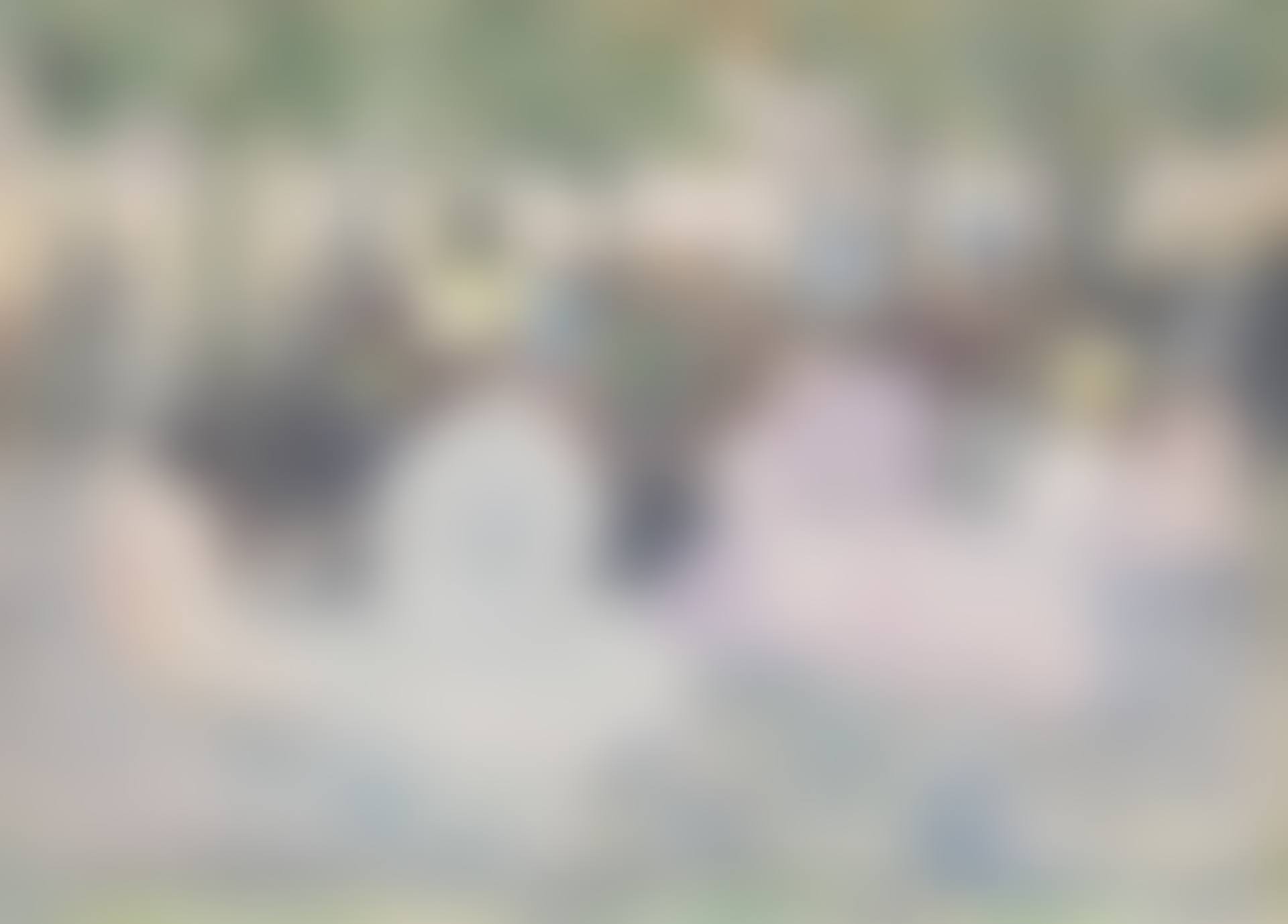 Figures on the Grass (preview)