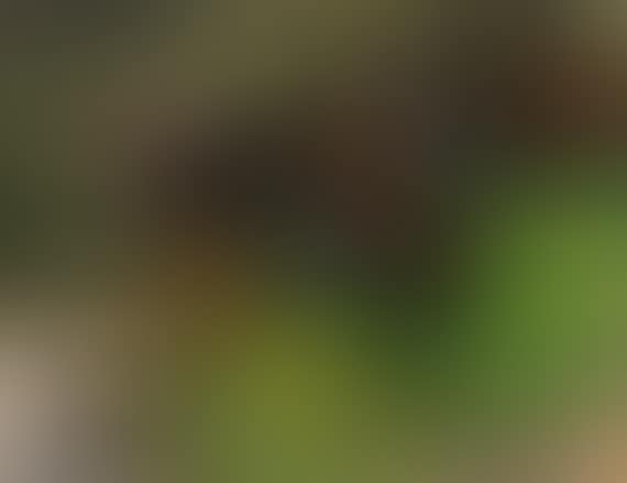 Sommernachmittag (preview)