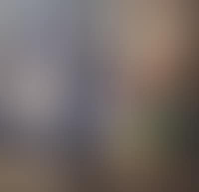 Geranienstock at the window (preview)