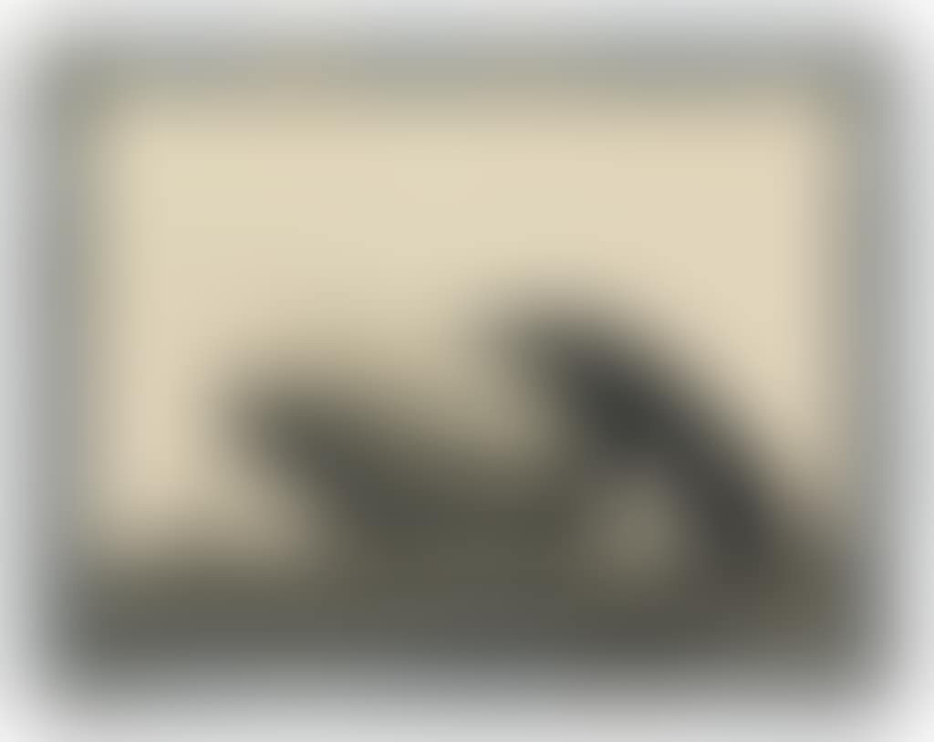U.s.s. Airship Akron, World's Largest Airship (preview)