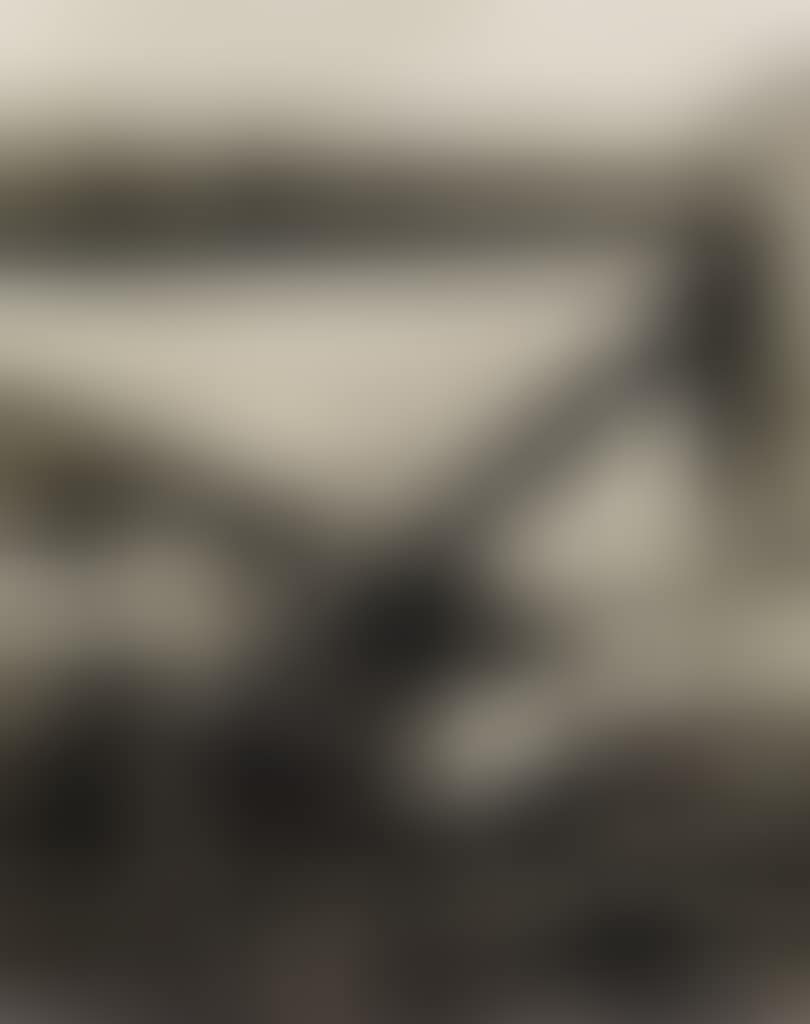 River Rouge Plant, Detroit, Michigan (with Ford Signage On Freight Car) (preview)