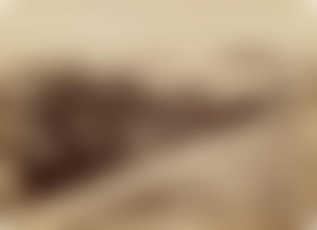 Ansichten von Pernambuco (preview)