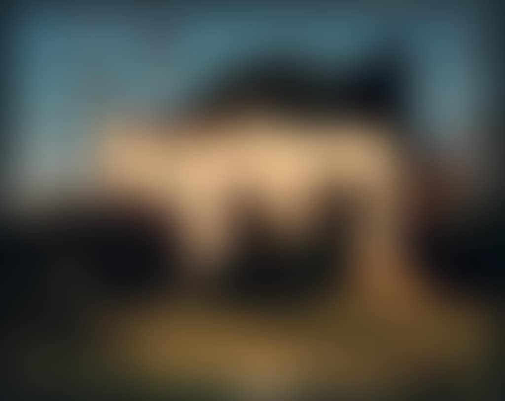 A Dynamic Portfolio Entitled New California Views (preview)