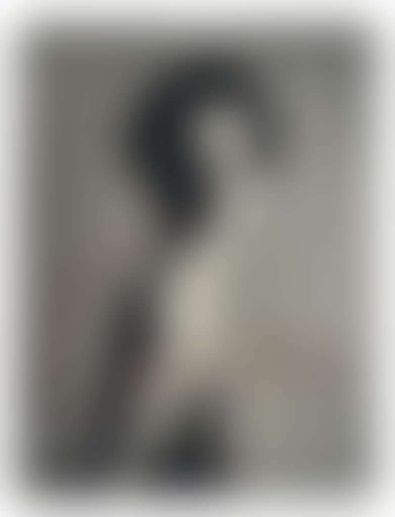 Avedon: Photographs (preview)