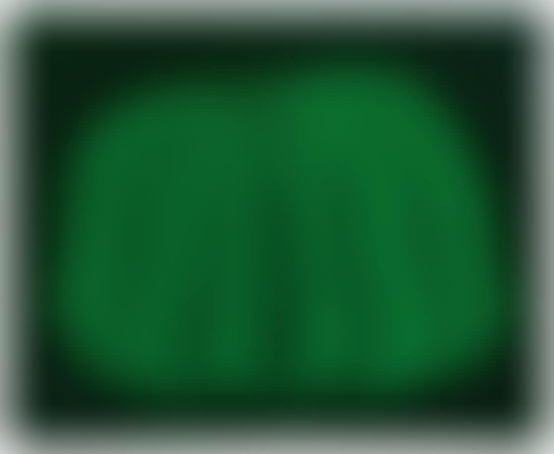 Pumpkin WTWO (preview)
