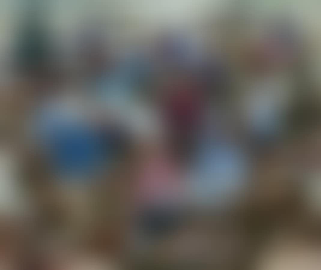 Harvest (preview)