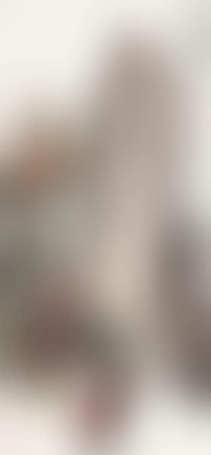 NANDINA (preview)