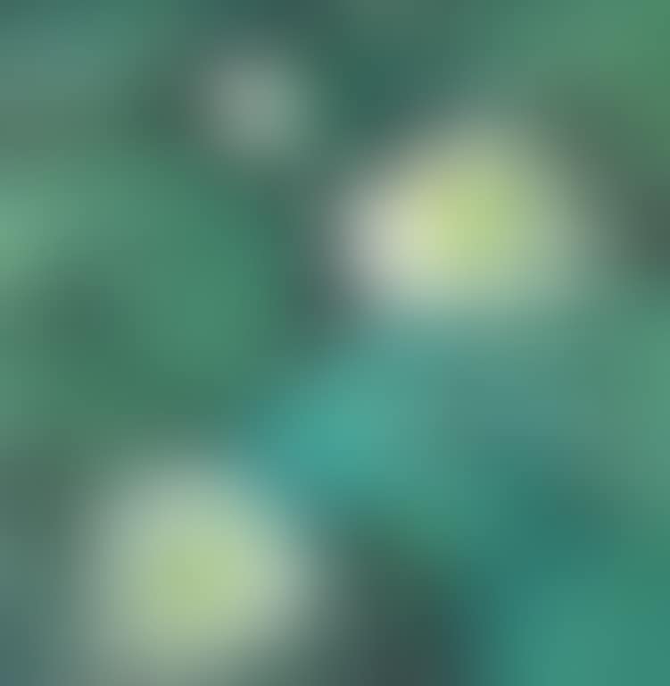 Lotus (preview)
