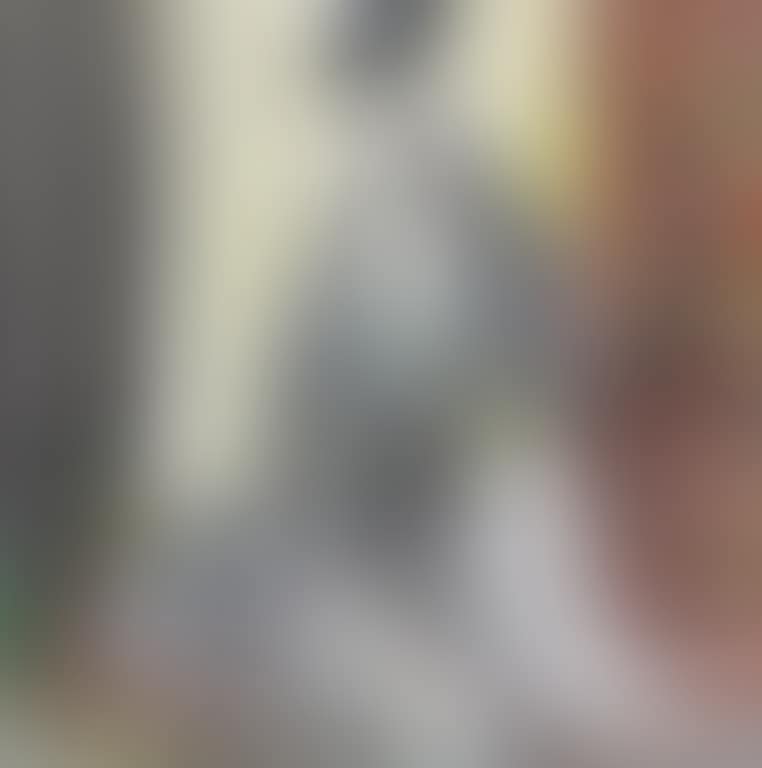 A Lady Reading (preview)