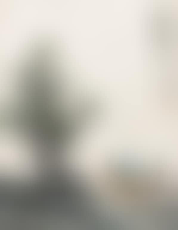 Figures (preview)