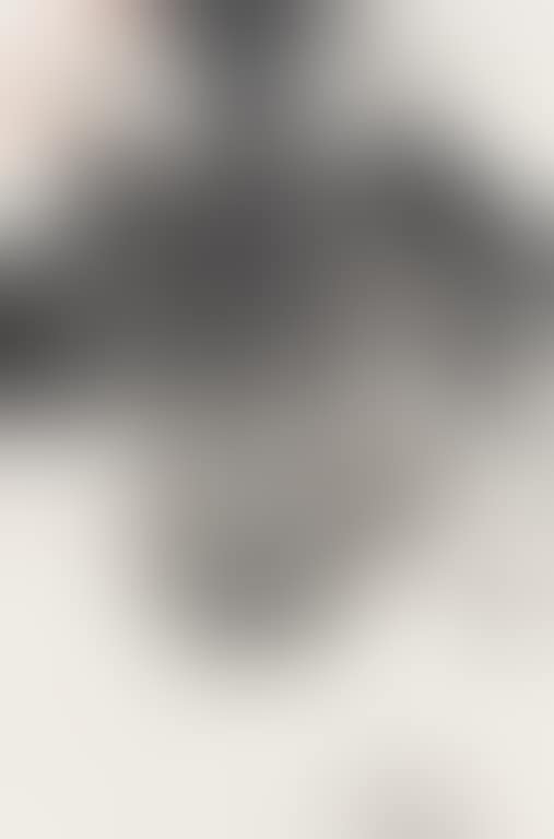 Lotus (preview)