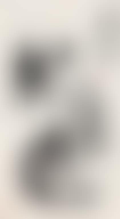 Donkeys (preview)