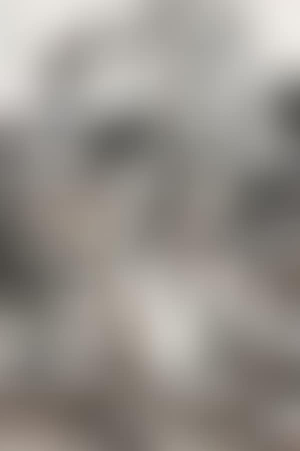 YUAN MING DRINKING WINE (preview)