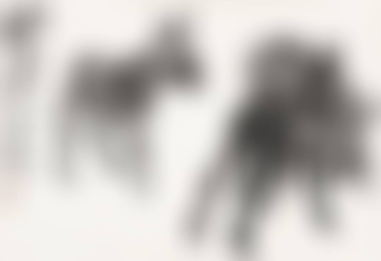 THREE DUNKEYS (preview)