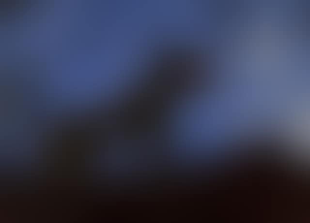 Perro De Luna (Moon Dog) (preview)