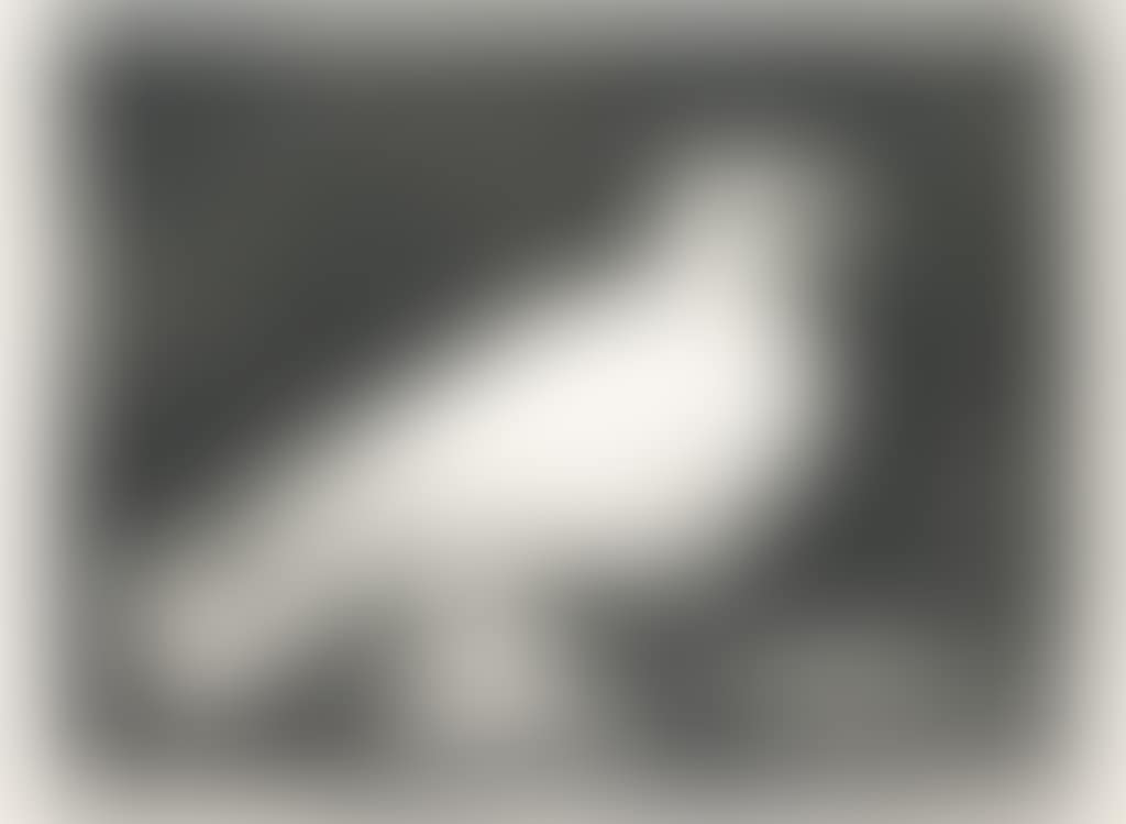 La Colombe (preview)