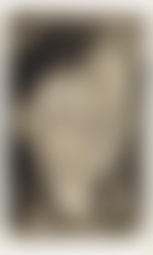 Frauenkopf (preview)