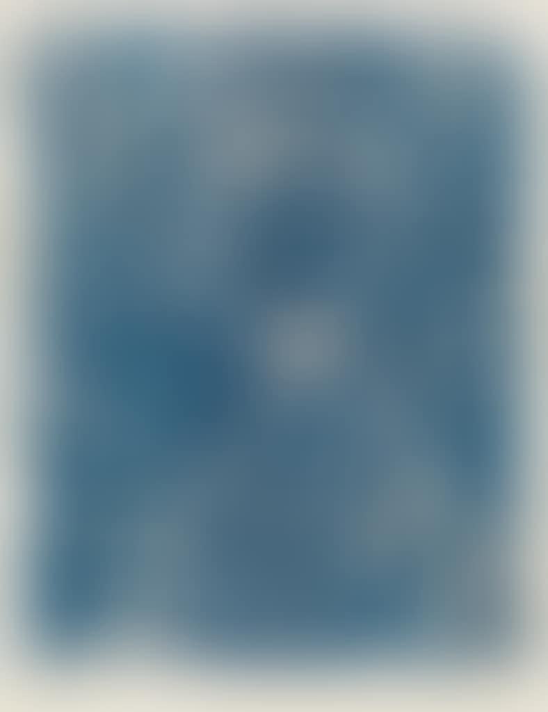 La Forêt Bleue (preview)