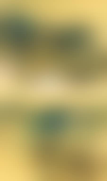 Shu River (preview)