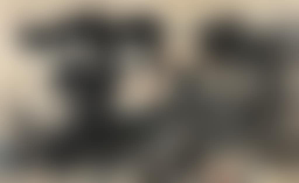 Lotus (preview)