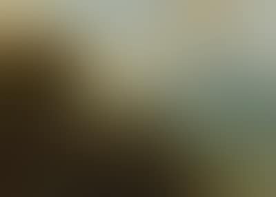 A vast mountain landscape with peasants resting near a path and a small fortified town in a valley (preview)