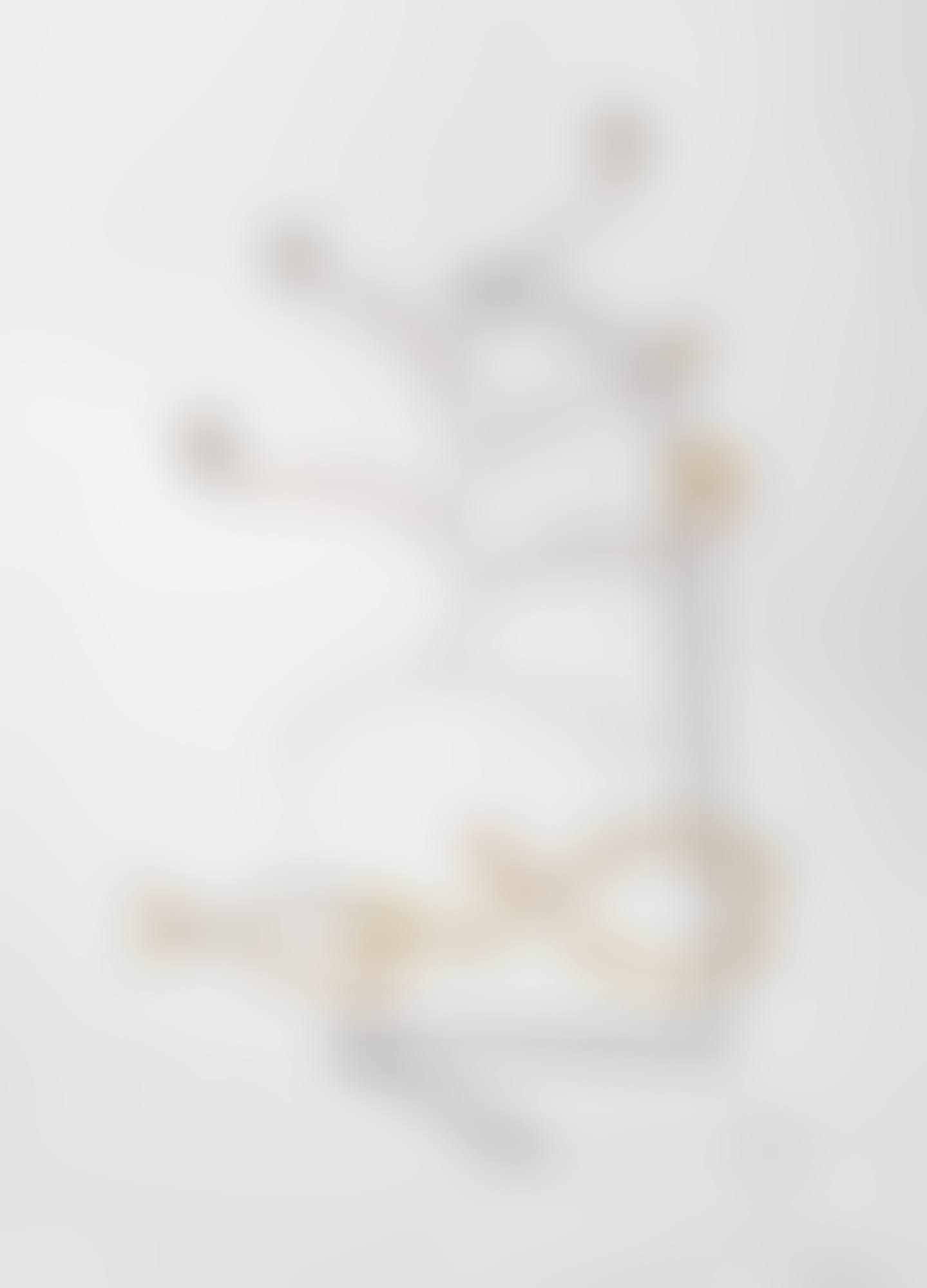 FISH AND WATER WEEDS (preview)