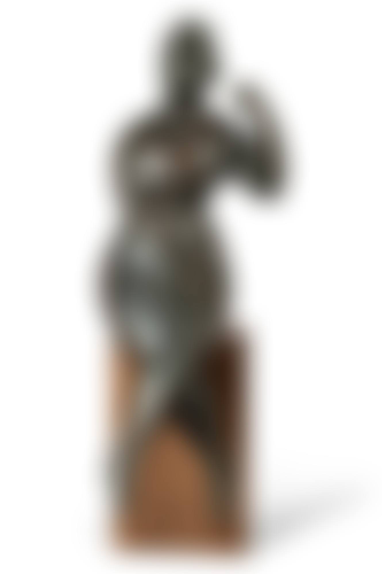 SEATED WOMAN WITH RAISED ARM (preview)