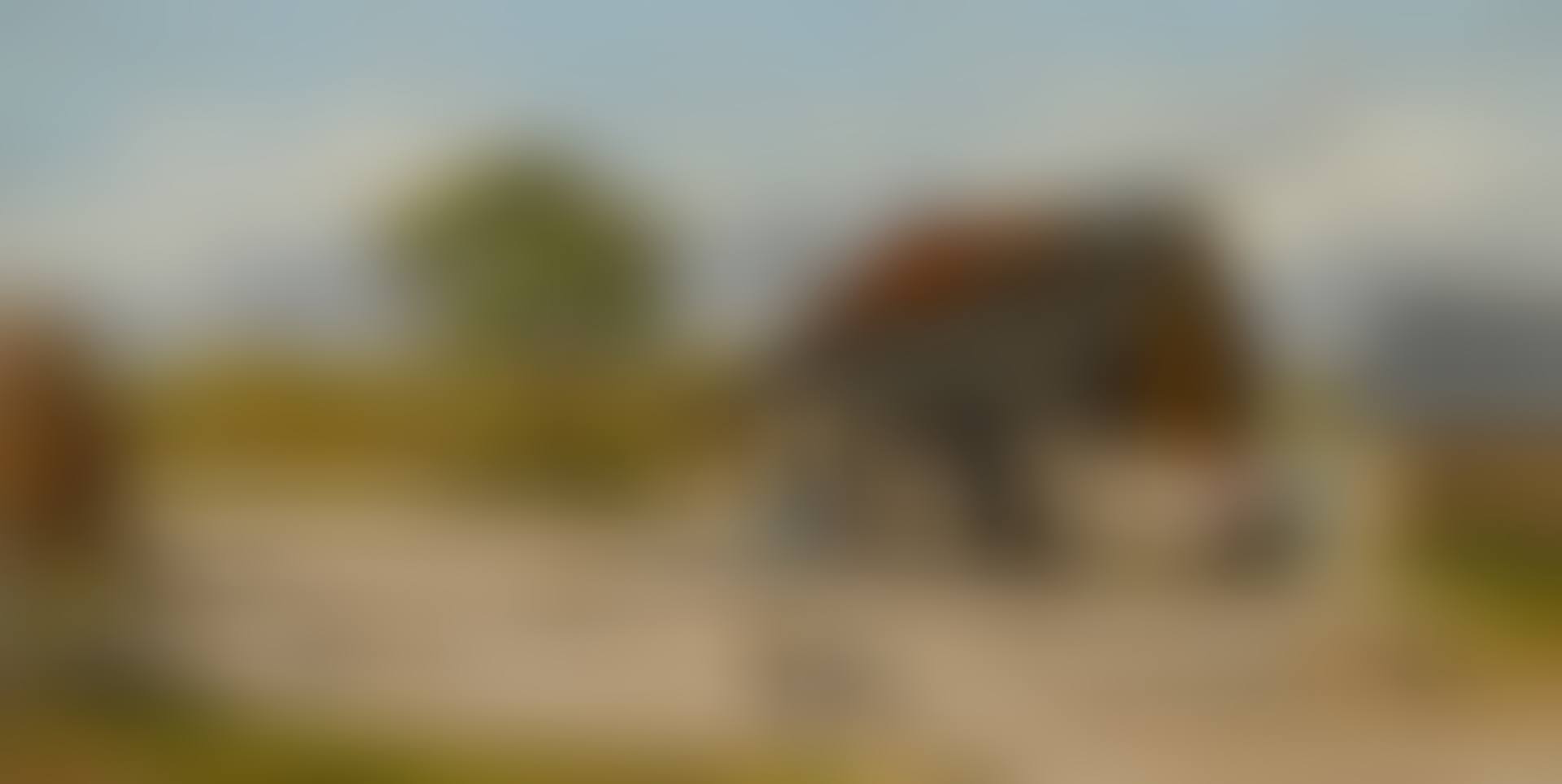 WASH DAY: SOUTHERN SHARECROPPER'S CABIN (preview)