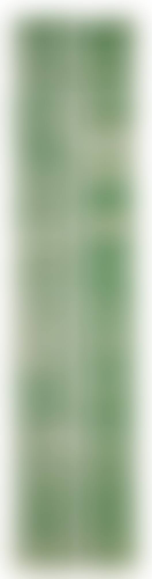 TWO DOLLAR BILLS (BACK) (40 TWO DOLLAR BILLS IN GREEN)  (preview)