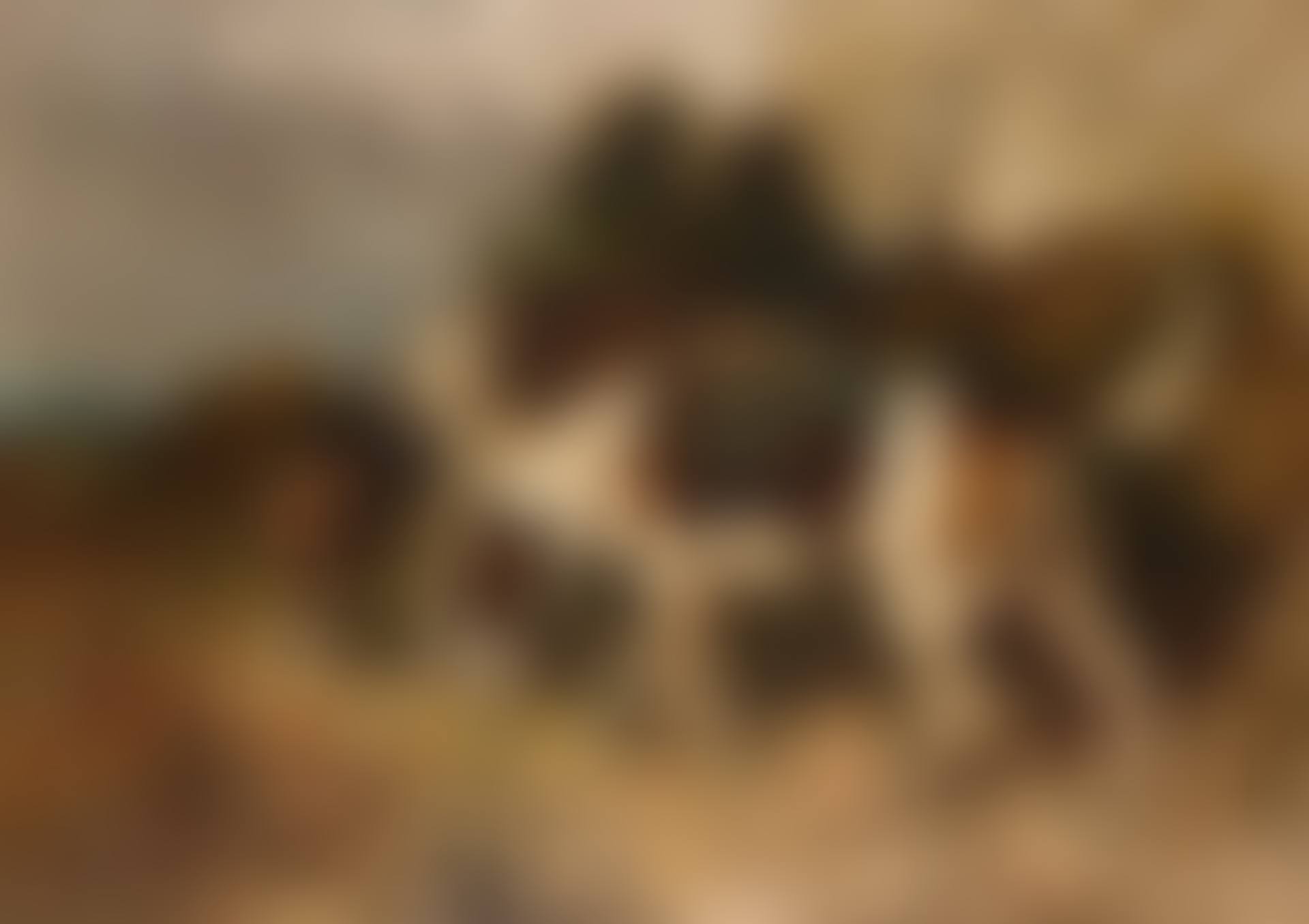 THE TUFTERS (preview)