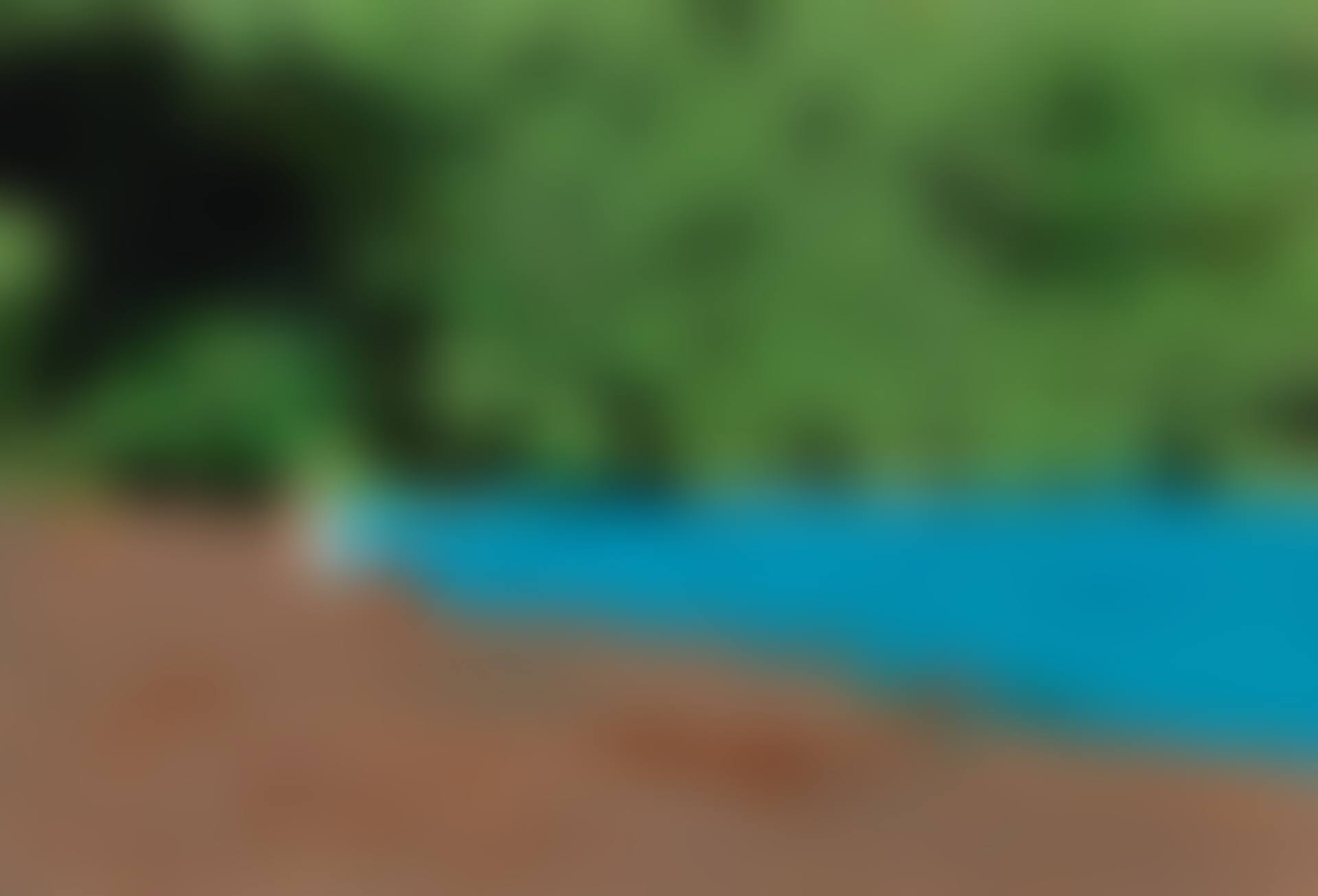 BEACH PAINTING II (STUDY) (preview)