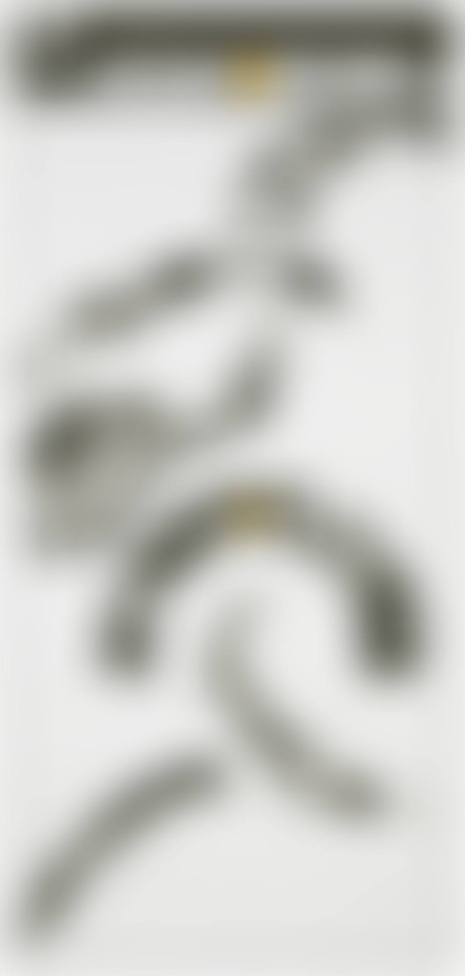LETTER (preview)