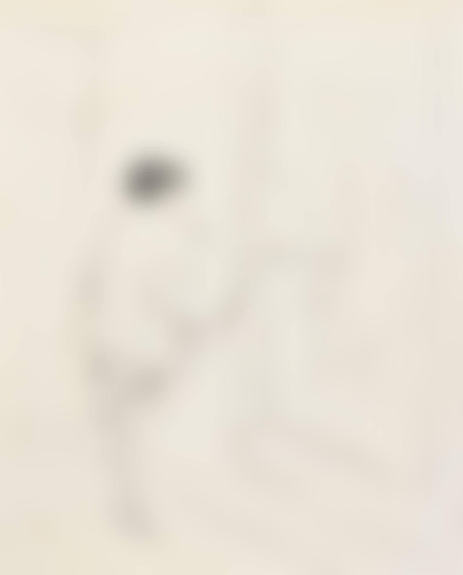 THE ARTIST (preview)