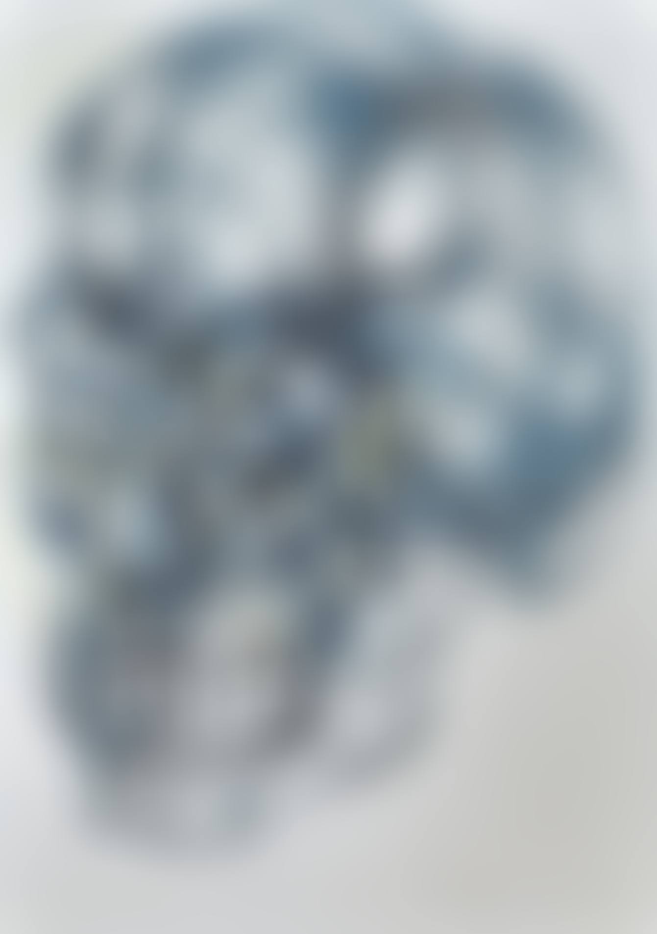 SKULL (INTERIOR LANDSCAPE) (preview)