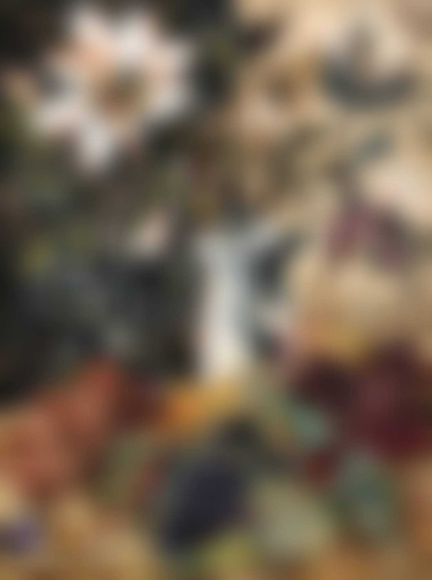 AUTUMN COLOURS (preview)