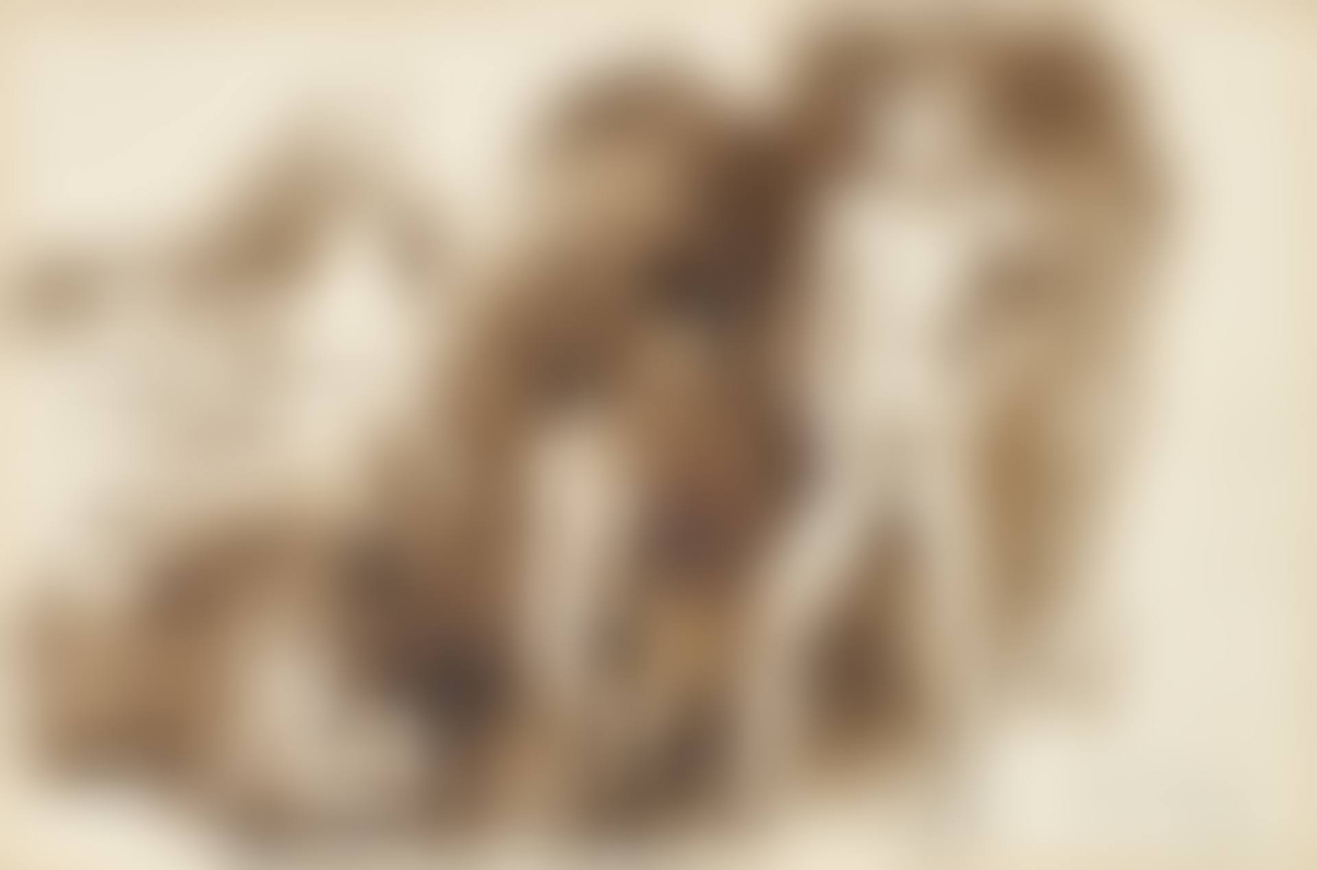 THREE NUDE YOUTHS (preview)