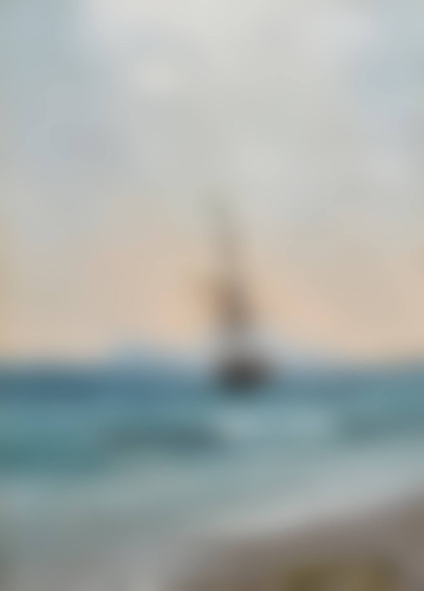CAPRI (preview)