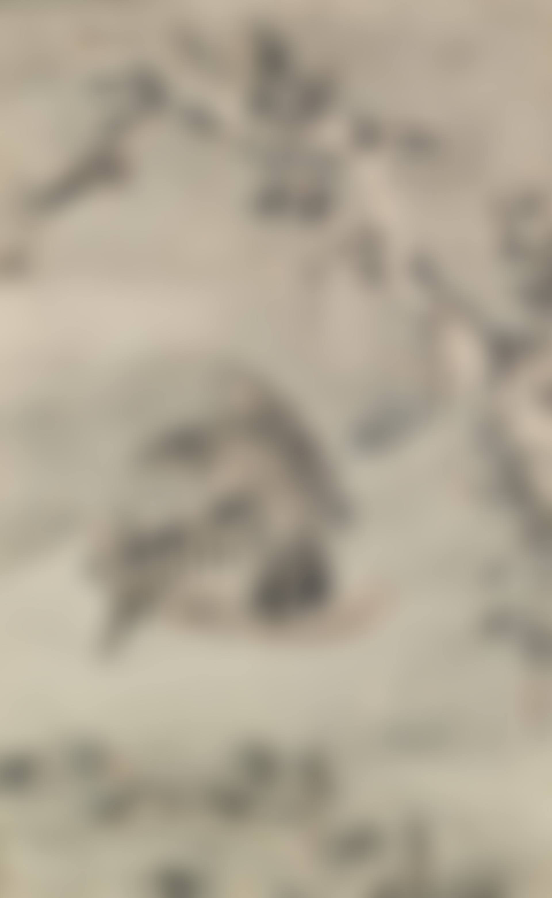 Eagle in Snow (preview)