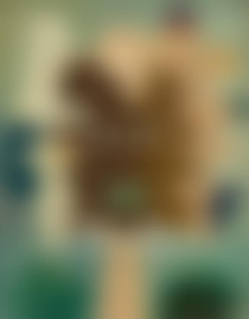 Mounted Look (preview)