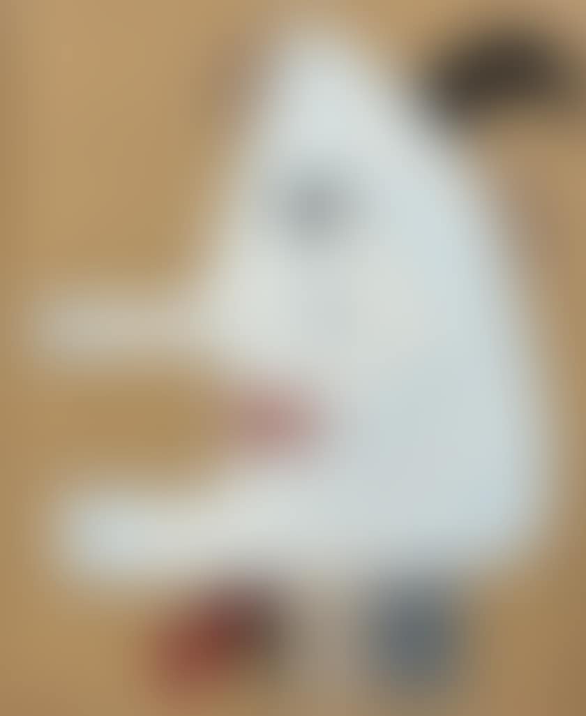 The aphrodisian (preview)