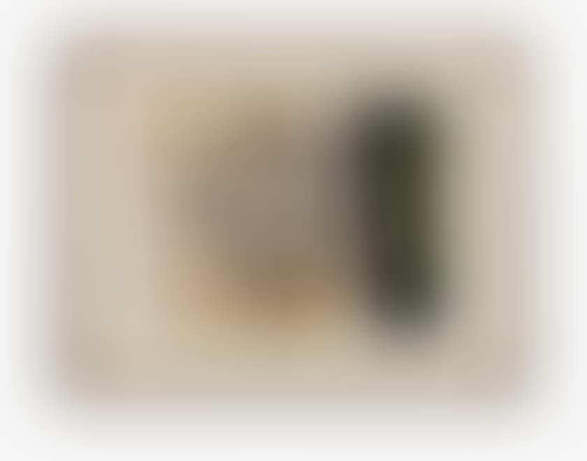 WITHOUT TITLE (preview)