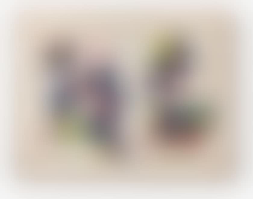WITHOUT TITLE (SF80-450) (preview)