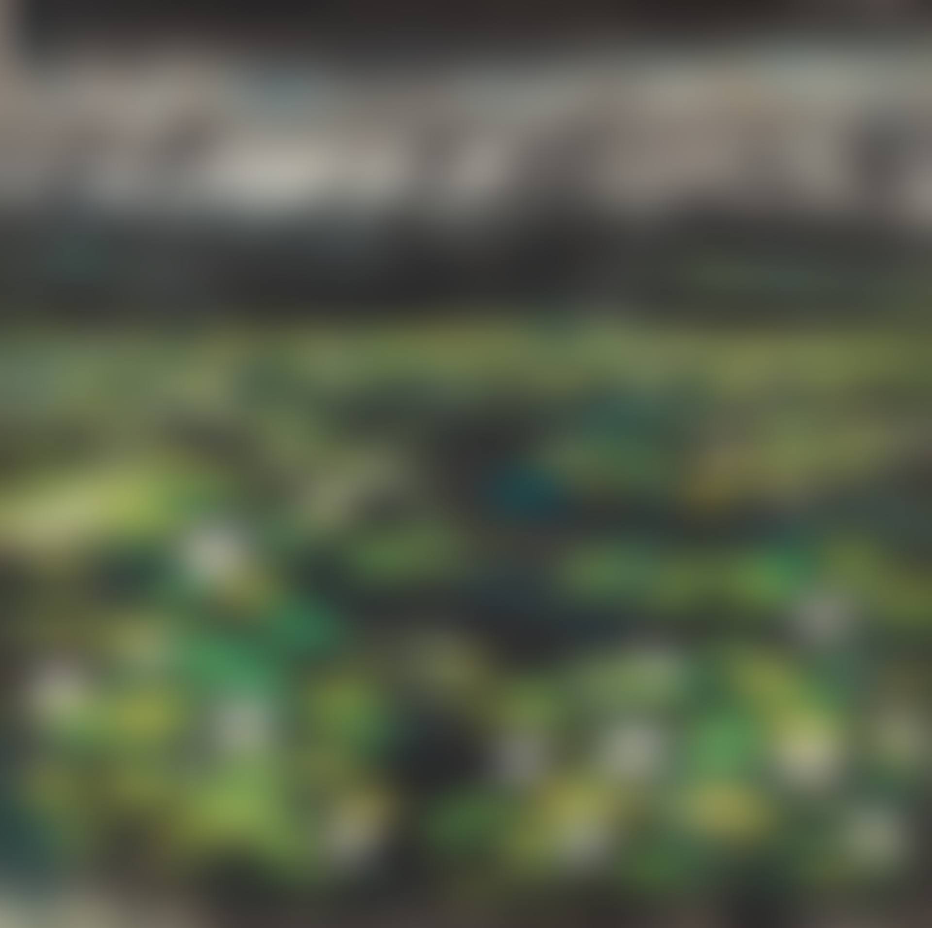 Lotus Pond (preview)