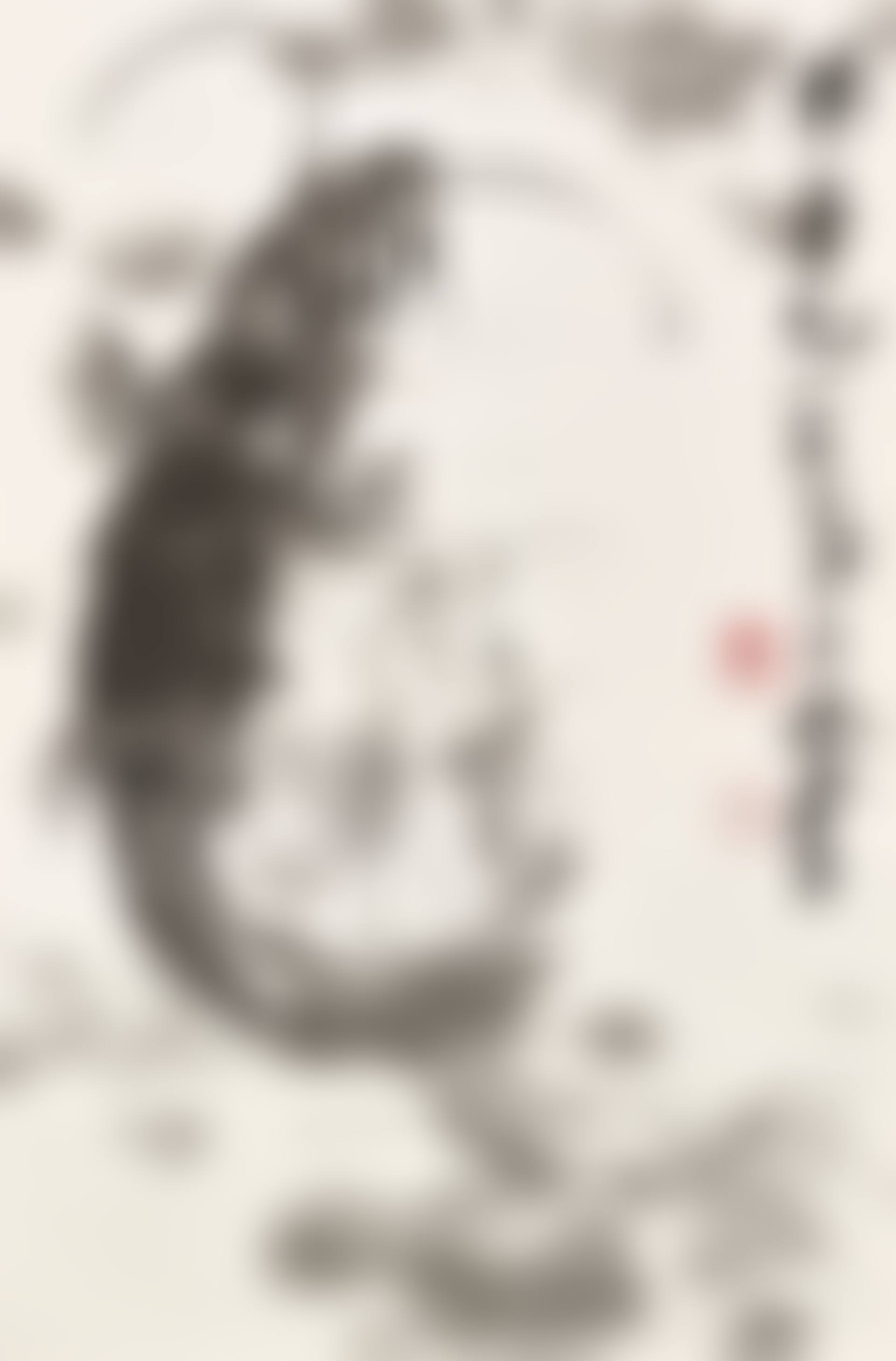 Fish (preview)