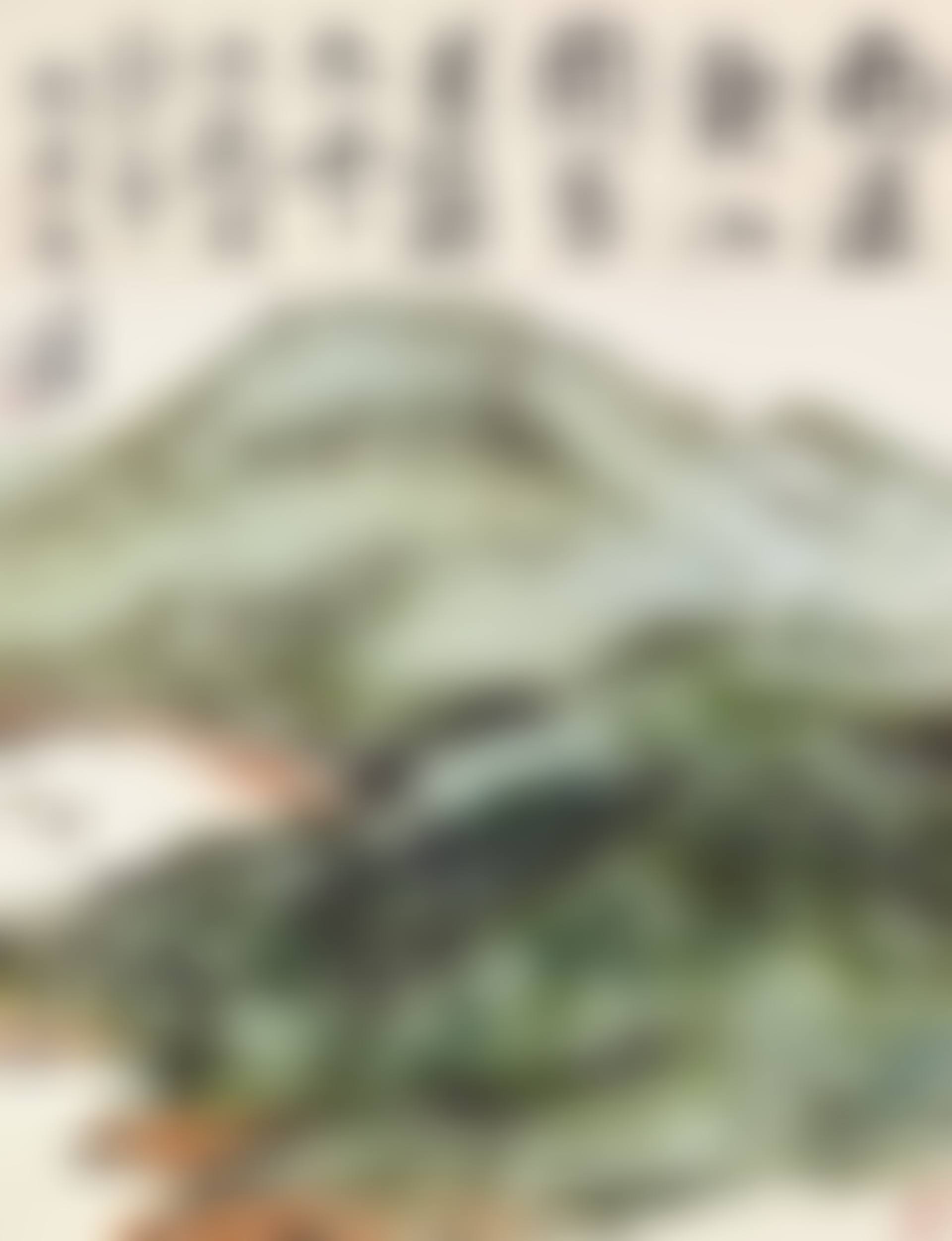 Viewing Mountain after Rain (preview)