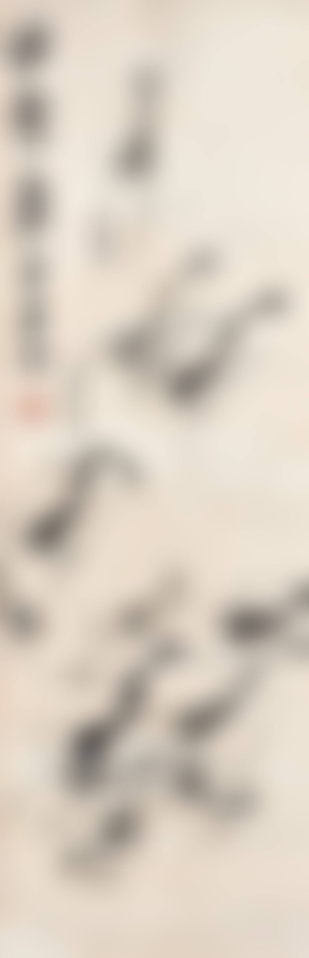 Shrimps (preview)